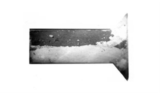 鉚釘粗晶組織10&times;