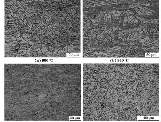 圖５ 在不同溫度、應(yīng)變速率為０．０１０s－１下壓縮至應(yīng)變量為７０％后GH４１６９合金的顯微組織