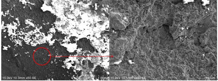 圖2 斷口源區(qū)宏、微觀形貌，沿晶特征+二次裂紋