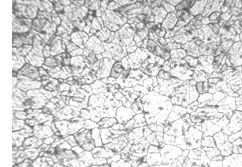 1Cr18Ni9Ti螺栓固溶處理金相組織 200&times;