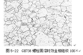 圖5-22 GH738螺栓固溶時效金相組織100&times;