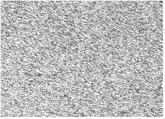 TC6鈦合金螺栓退火金相組織100&times;