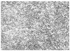 35鋼淬火回火組織 500&times;