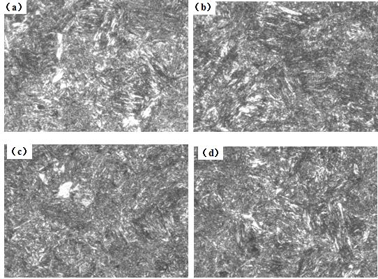 圖12-15 （a、b、c、d） 1～4號樣金相組織 500&times;