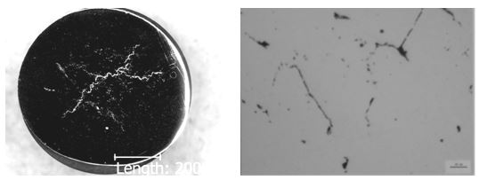 圖14-78 失效件拋光態(tài)低倍組織 圖14-79 失效件拋光態(tài)顯微組織 圖14-78 失效件拋光態(tài)低倍組織 圖14-79 失效件拋光態(tài)顯微組織