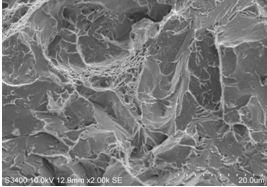 圖12-63 擴展區(qū)斷口微觀形貌。