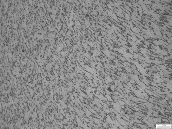 球化珠光體組織 球化珠光體組織