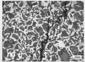 45熱軋鋼裂紋低倍組織 45熱軋鋼裂紋低倍組織