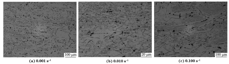 圖６ 在９８０ ℃、不同應變速率下壓縮至應變量為７０％后GH４１６９合金的顯微組織