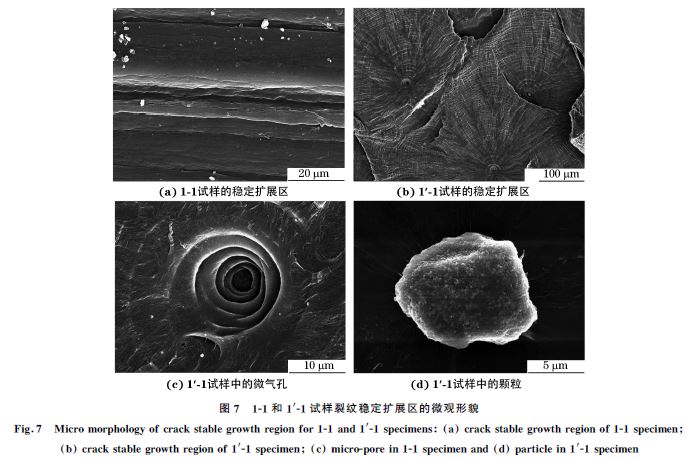 圖７ １Ｇ１和１&prime;Ｇ１試樣裂紋穩(wěn)定擴展區(qū)的微觀形貌