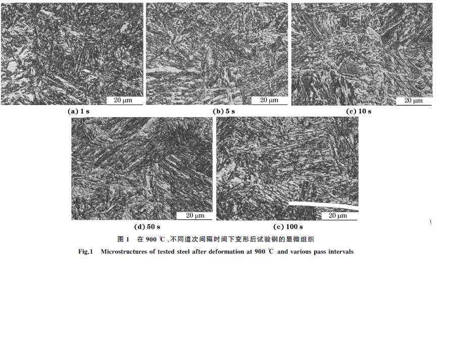 圖１ 在９００ ℃、不同道次間隔時間下變形后試驗鋼的顯微組織