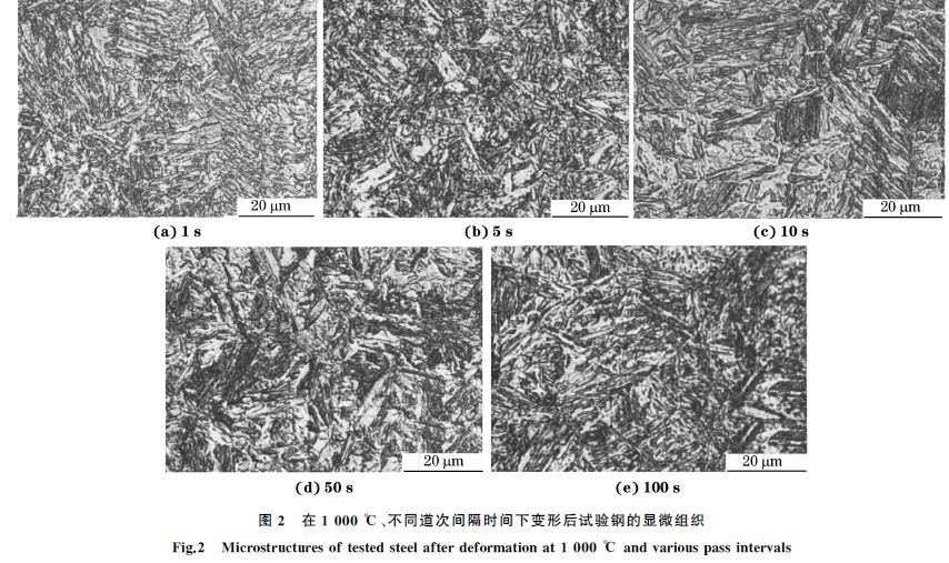 圖２ 在１０００ ℃、不同道次間隔時間下變形后試驗鋼的顯微組織
